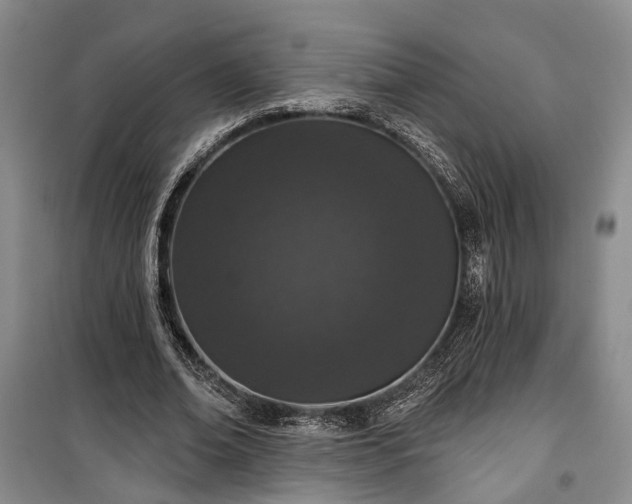 X0000100360678200806131015