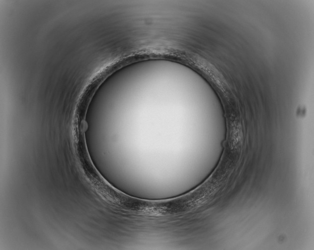 X0000100360680200806131015