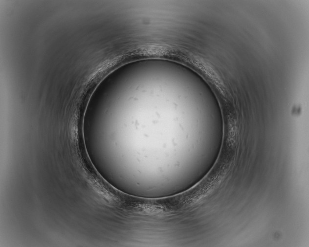 X0000100360681200806131015