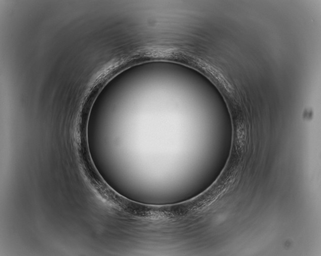 X0000100360682200806131015