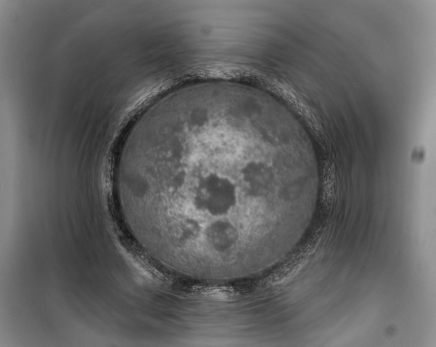 X0000100360683200806131015