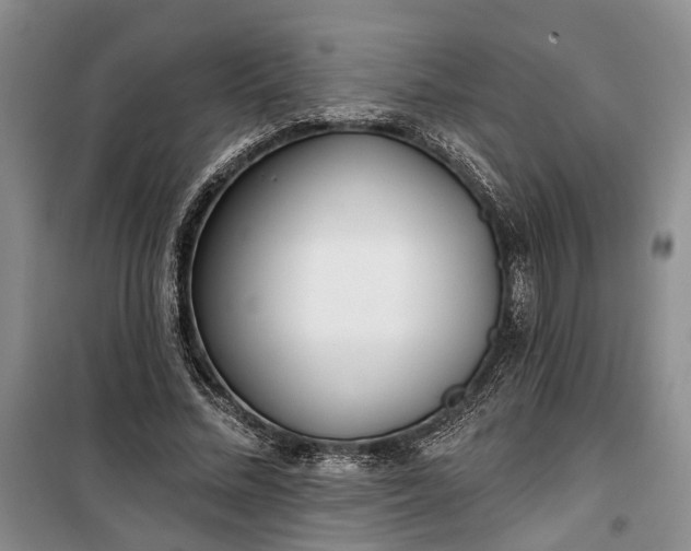 X0000100360684200806131015