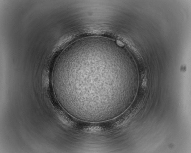 X0000100360685200806131015