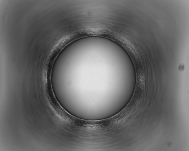 X0000100360686200806131015