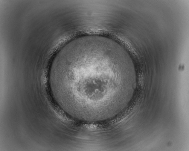 X0000100360687200806131015