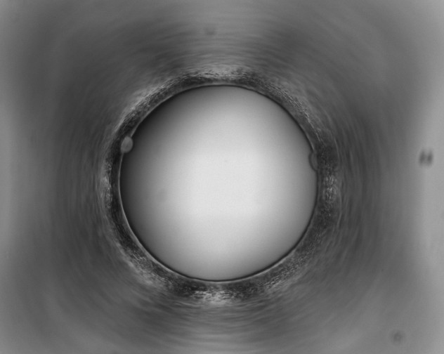 X0000100360688200806131015