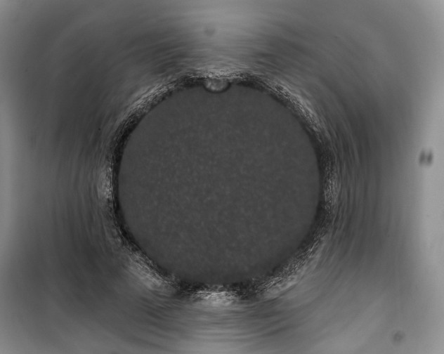 X0000100360689200806131015