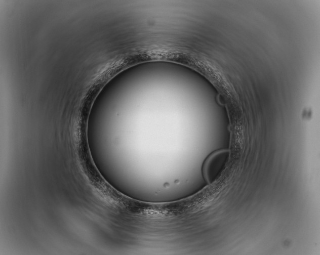 X0000100360690200806131015