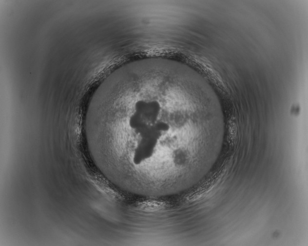 X0000100360691200806131015