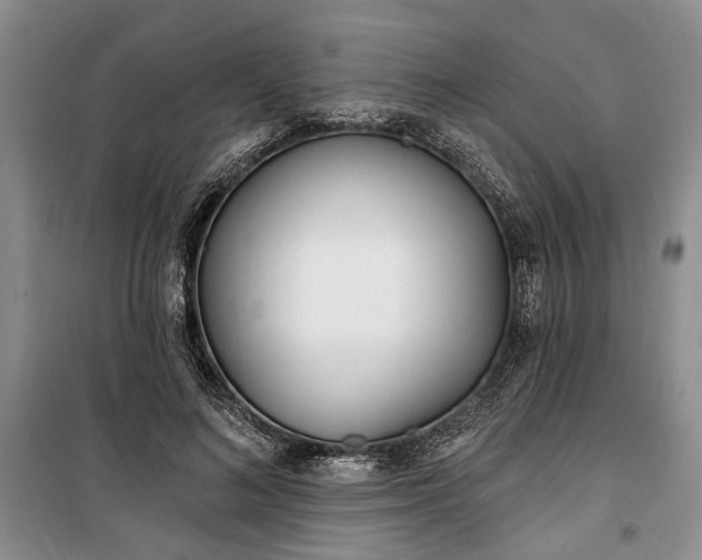 X0000100360692200806131015