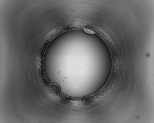 X0000100360693200806131015