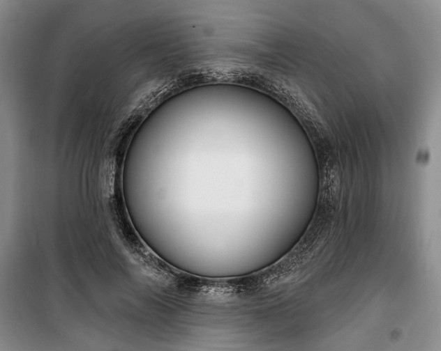 X0000100360694200806131015