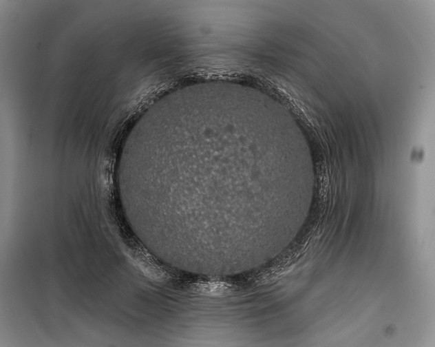 X0000100360695200806131015