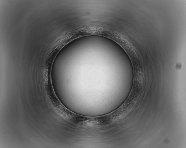 X0000100360696200806131015