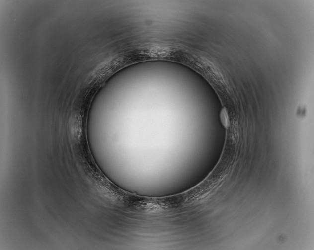 X0000100360697200806131015