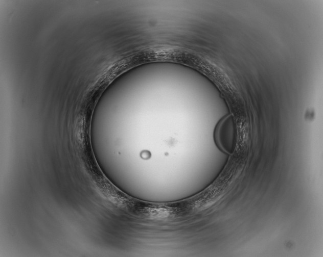 X0000100360698200806131015