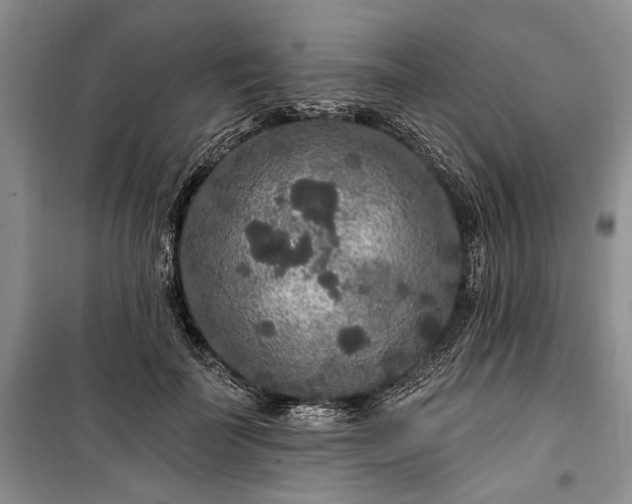 X0000100360699200806131015