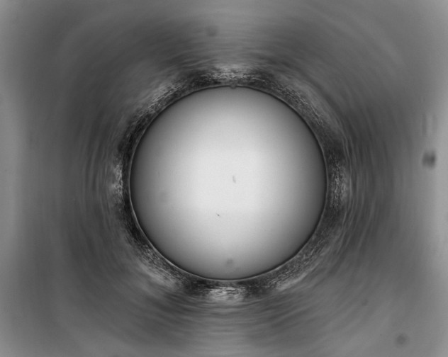 X0000100360700200806131015