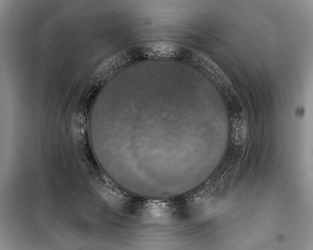 X0000100360701200806131015