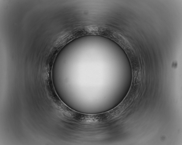 X0000100360702200806131015