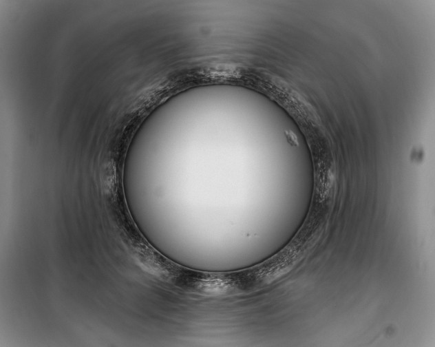 X0000100360704200806131015