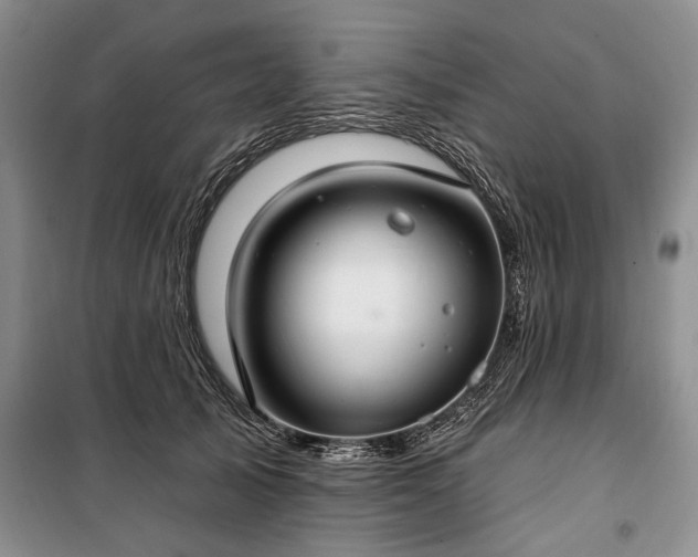 X0000100360705200806131015