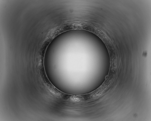 X0000100360706200806131015