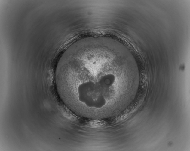 X0000100360707200806131015