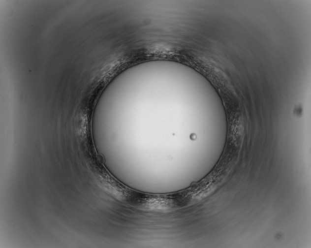 X0000100360708200806131015