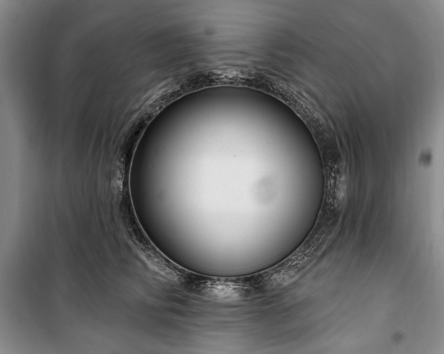 X0000100360710200806131015