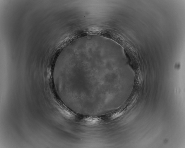 X0000100360711200806131015