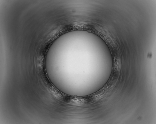 X0000100360712200806131015