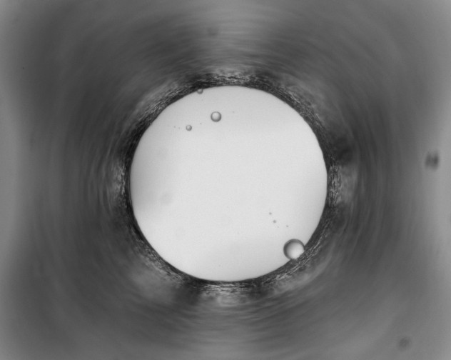 X0000100360713200806131015