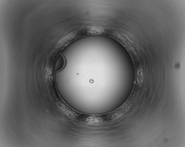 X0000100360714200806131015