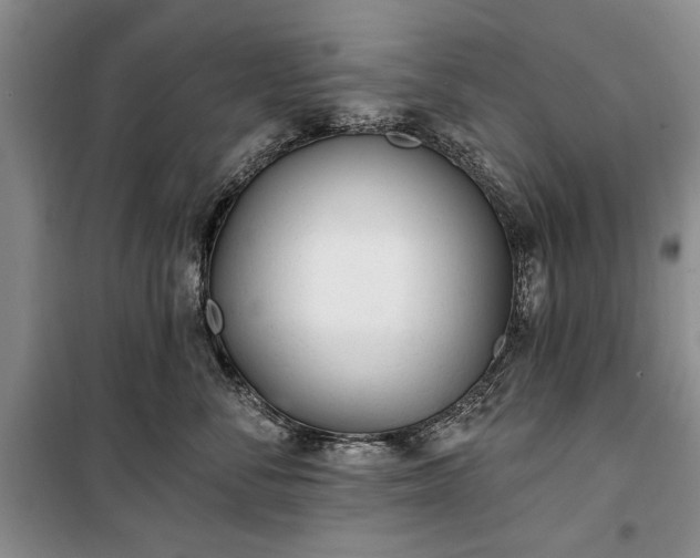 X0000100360716200806131015