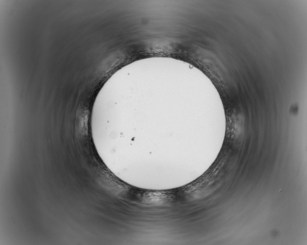 X0000100360717200806131015