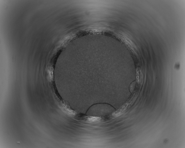 X0000100360718200806131015