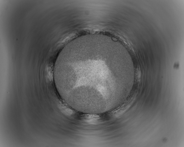 X0000100360719200806131015