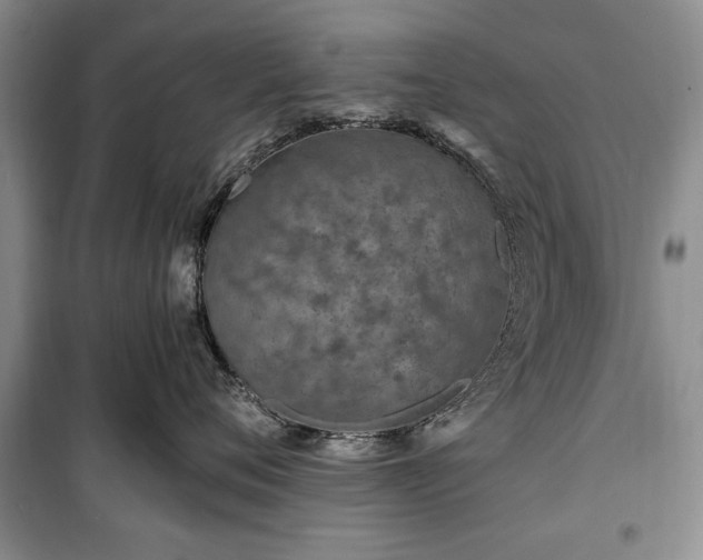 X0000100360720200806131015