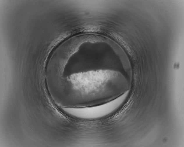 X0000100360721200806131014