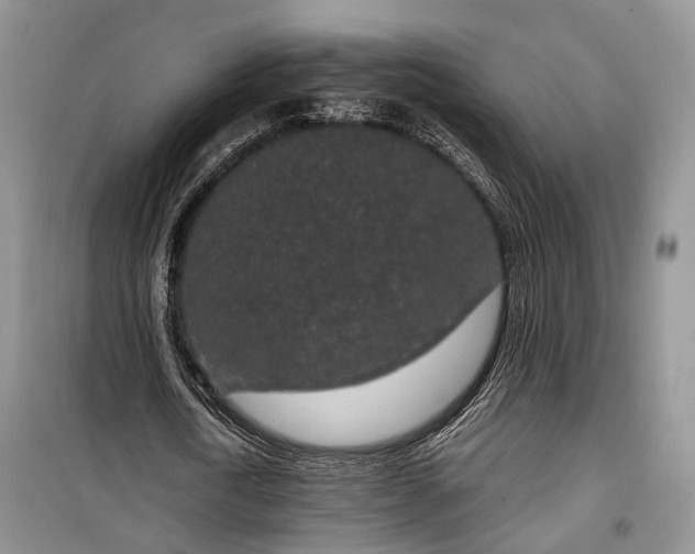 X0000100360722200806131014