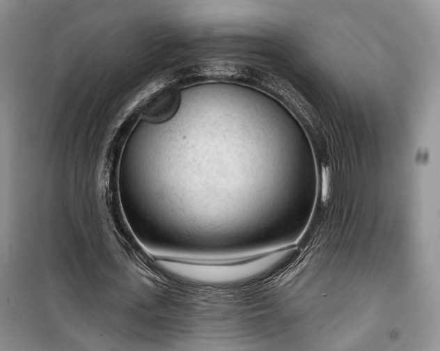 X0000100360723200806131014