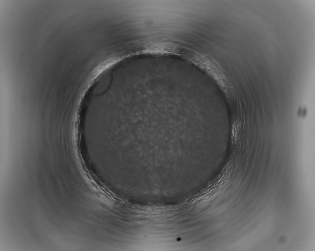 X0000100360724200806131014