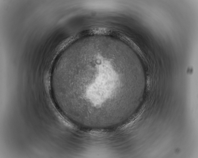 X0000100360725200806131014