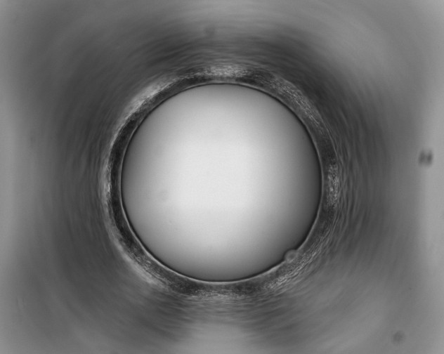 X0000100360726200806131014