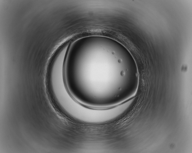 X0000100360728200806131014