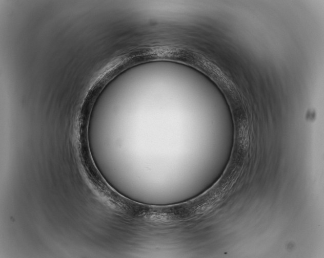 X0000100360730200806131014