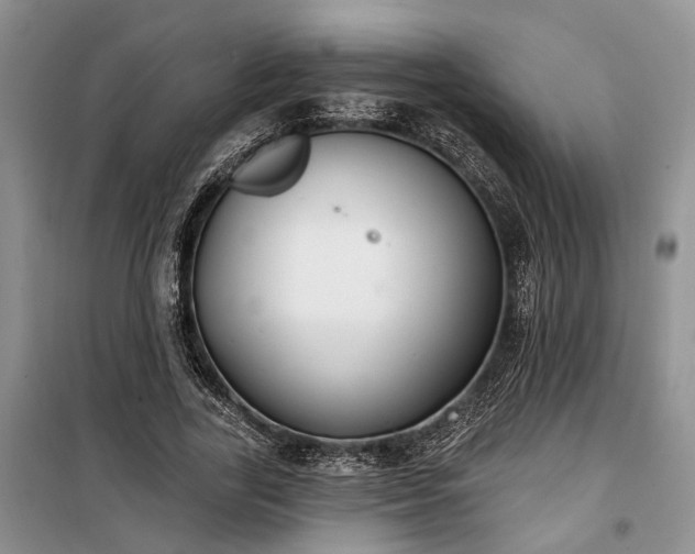 X0000100360731200806131014