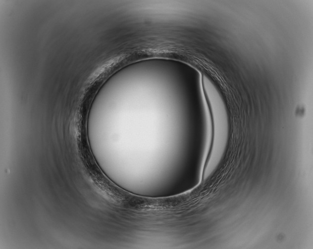 X0000100360732200806131014