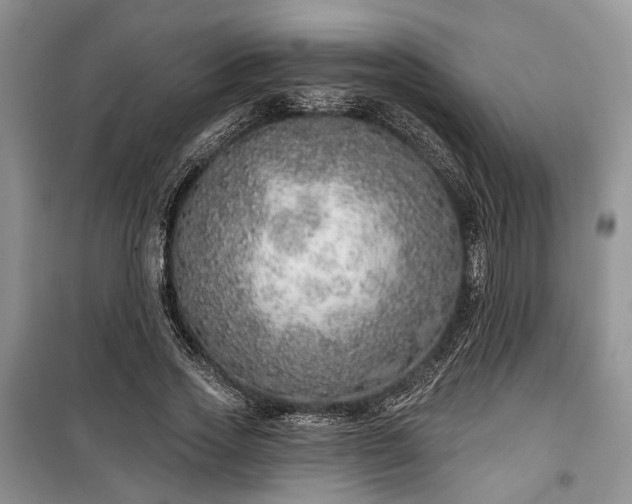 X0000100360733200806131014